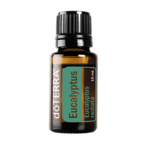 Евкалипт doTerra