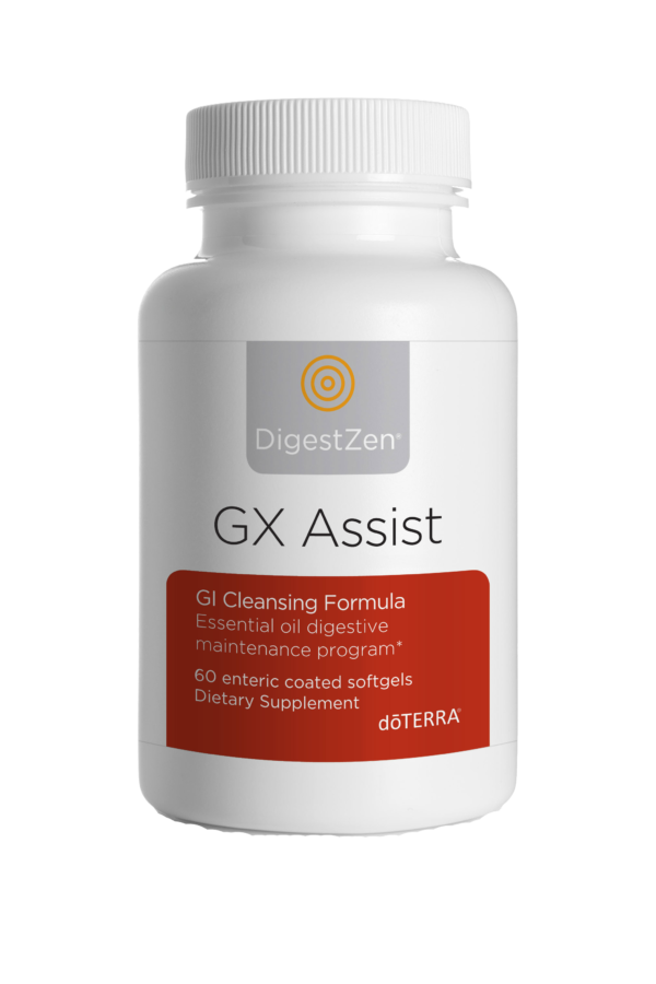 gx_assist